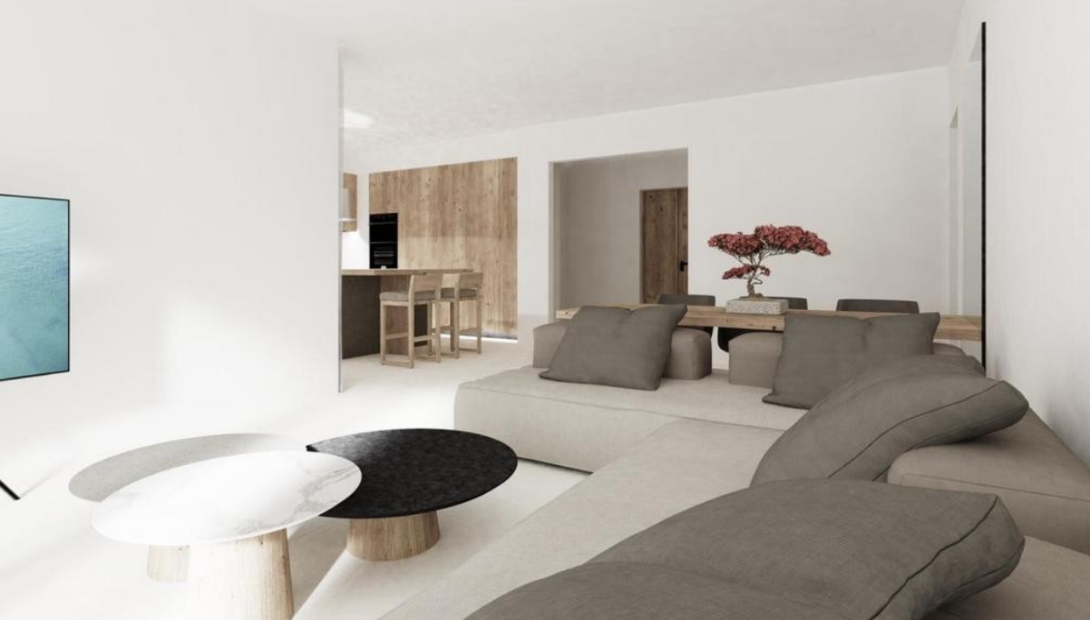luxury-villa-living-room-and-kitchen-with-modern-furnishings-ibiza